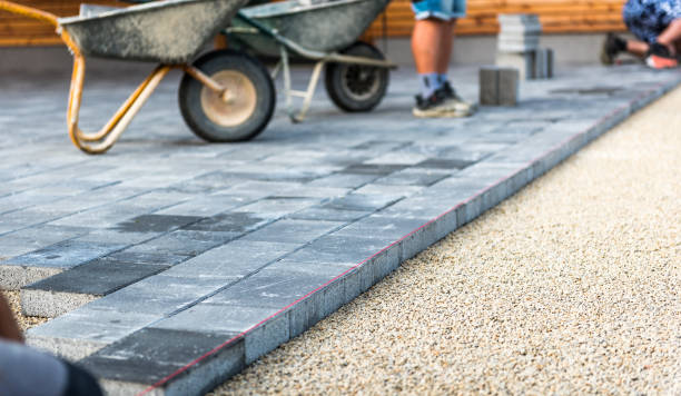 Best Driveway Paving Contractor  in Kenyon, MN