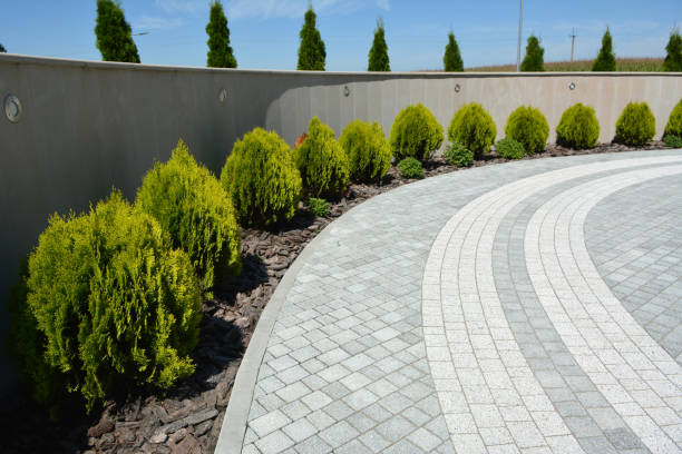 Professional Driveway Pavers in Kenyon, MN